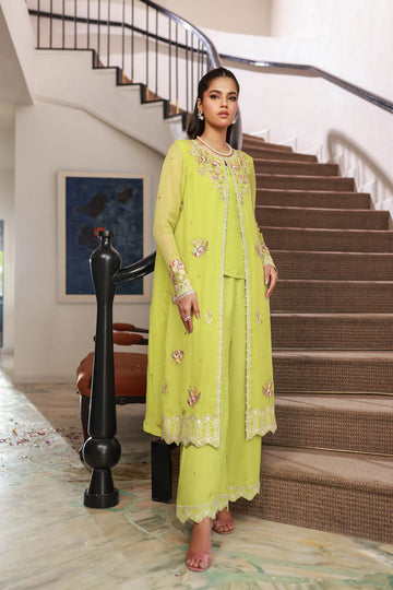 Dhanak SS25DA-2717 Green  Chiffon Pret Vol-ll 2025